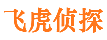 龙井市婚外情调查